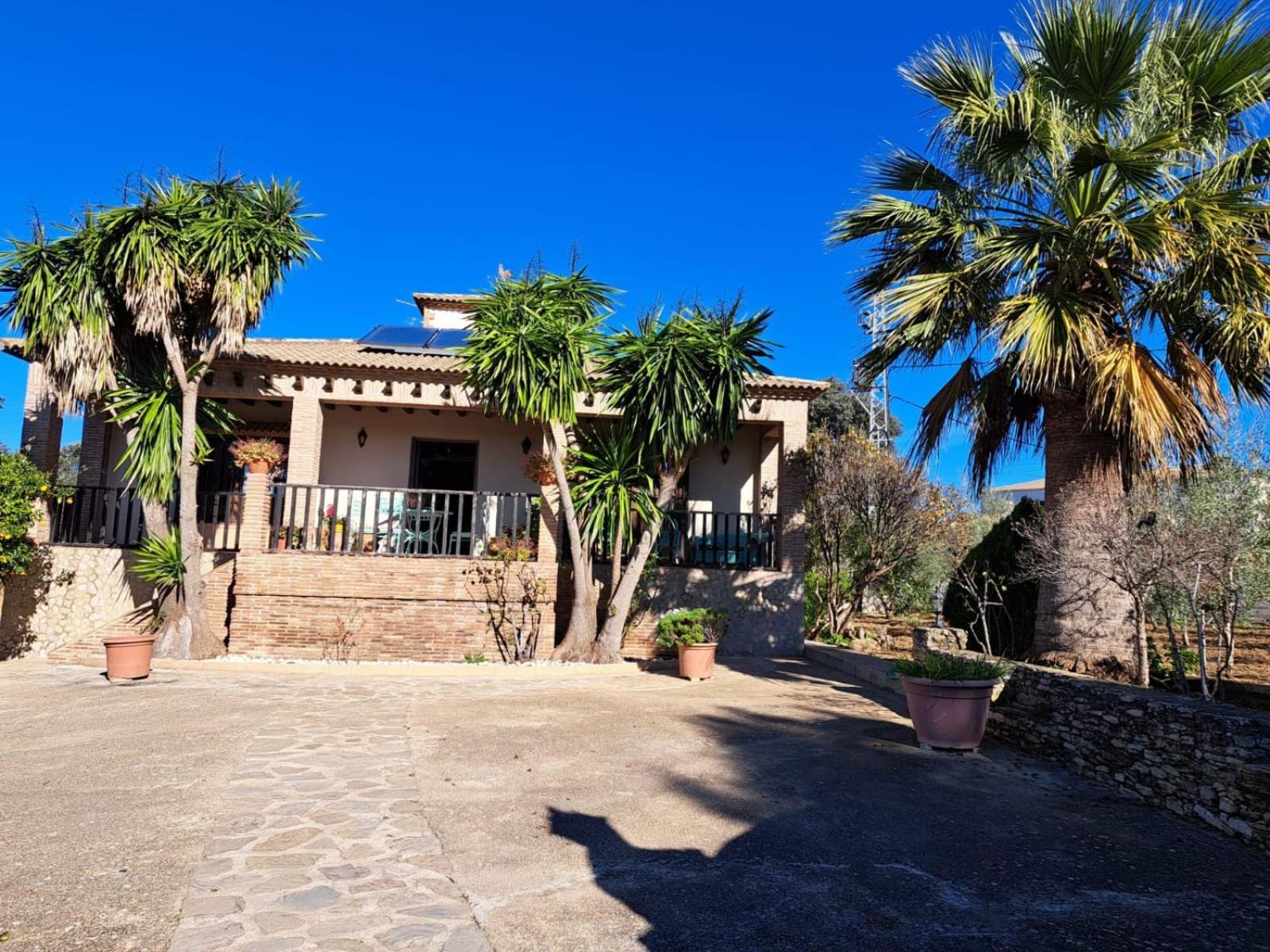Casa Albarracin Setenil De Las Bodegas Exterior foto